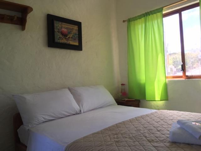Royal Galapagos Inn Пуэрто-Бакерисо-Морено Экстерьер фото