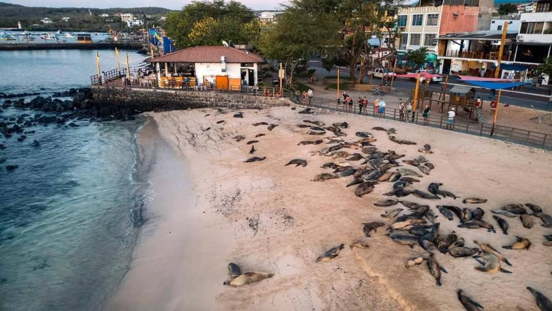Royal Galapagos Inn Пуэрто-Бакерисо-Морено Экстерьер фото